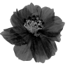 Стикер 33 Adaptive Flower