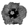 Стикер 19 Adaptive Flower