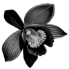 Стикер 60 Adaptive Flower
