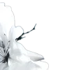 🤩 Эмодзи «꛶ 𝓐𝓵𝐜𐎟𝓢𝓵𝓮𝓮𝓹 𐎟🦈» для Telegram