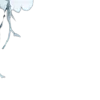 🤩 Эмодзи «꛶ 𝓐𝓵𝐜𐎟𝓢𝓵𝓮𝓮𝓹 𐎟🦈» для Telegram