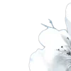 🤩 Эмодзи «꛶ 𝓐𝓵𝐜𐎟𝓢𝓵𝓮𝓮𝓹 𐎟🦈» для Telegram