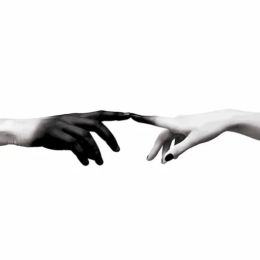🐦‍⬛ Стикер «á á á ð¦ââ¬ï¸; ððððºðá â¸» для Telegram