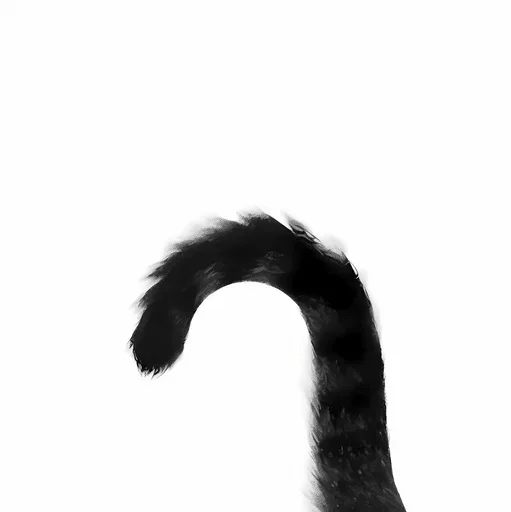 🐦‍⬛ Стикер «á á á ð¦ââ¬ï¸; ððððºðá â¸» для Telegram