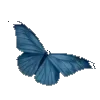 Стикер 40 Dr. ratio (. )