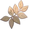 Стикер 14 Dr. ratio (. )