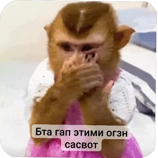 🙊 Стикер «Набиев чопар» для Telegram