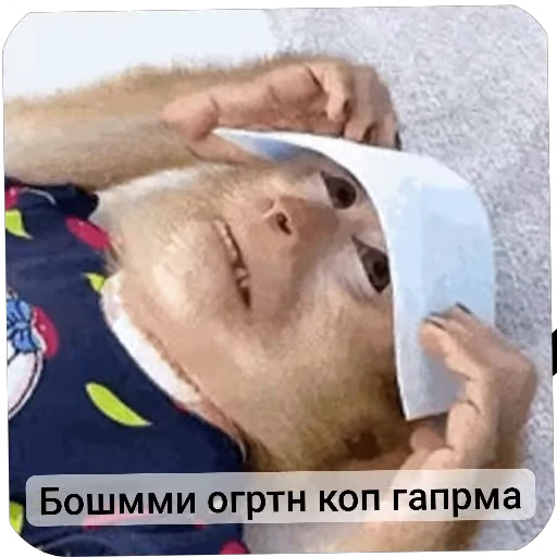 🐵 Стикер «Набиев чопар» для Telegram