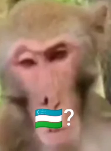 🌟 Стикер «Набиев чопар» для Telegram