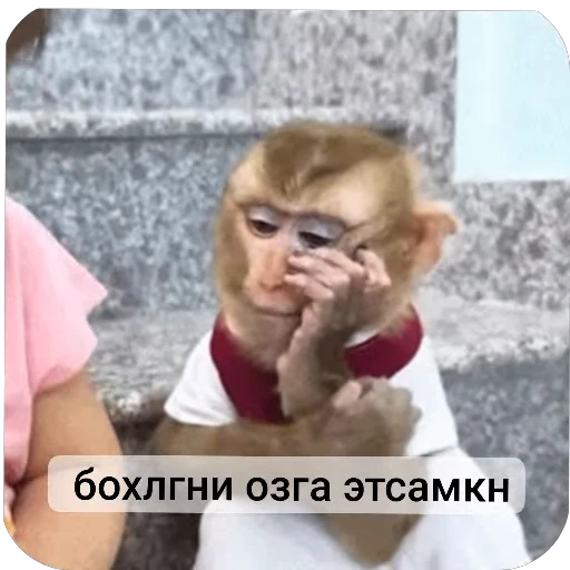 🐵 Стикер «Набиев чопар» для Telegram