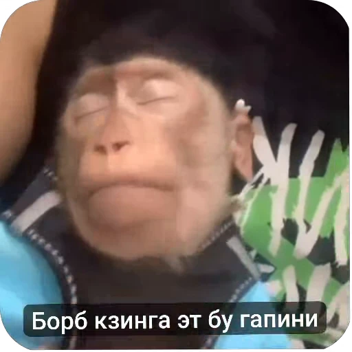 🌟 Стикер «Набиев чопар» для Telegram