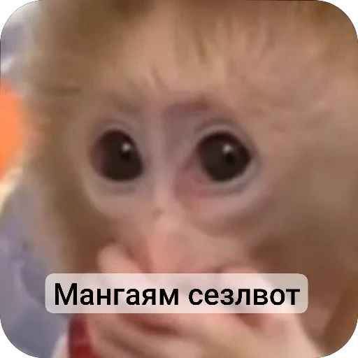 🌟 Стикер «Набиев чопар» для Telegram