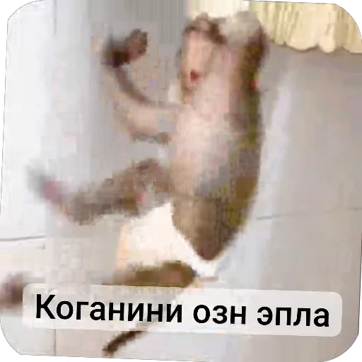 💔 Стикер «Набиев чопар» для Telegram