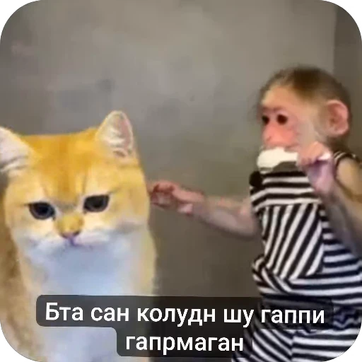 ❤ Стикер «Набиев чопар» для Telegram