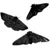 Стикер 37 Black Аesthetics
