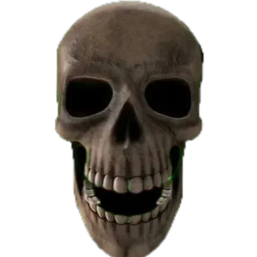💀 Стикер «Черепки» для Telegram
