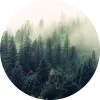 Стикер 4 Forest
