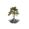 Стикер 17 Forest
