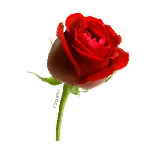 Стикер 34 🤩💐💐💐💐💐🌹🌷🌺