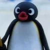 Обложка набора Пингу