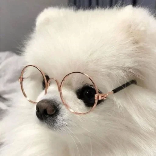 🤩 Стикер «Песели» для Telegram