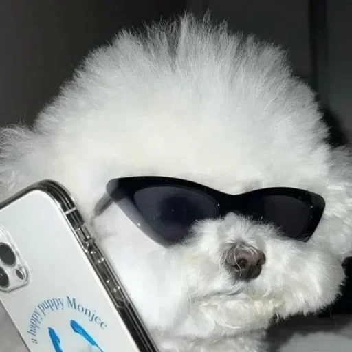 🤩 Стикер «Песели» для Telegram
