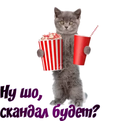 👀 Стикер «Moy pack» для Telegram
