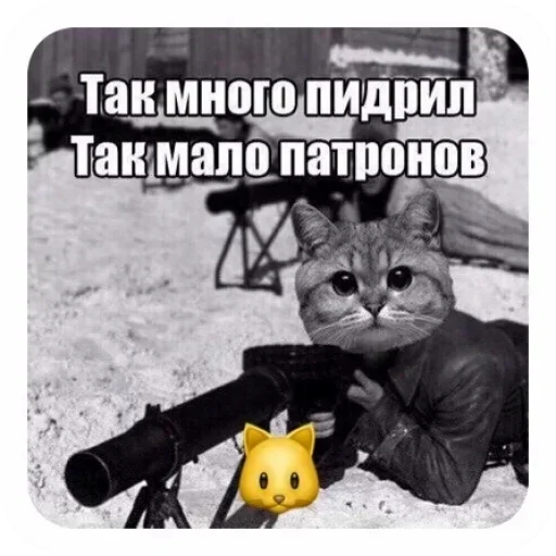 😑 Стикер «Moy pack» для Telegram