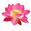 🌟 Эмодзи «. ᘡ 、画 ₊₊» для Telegram