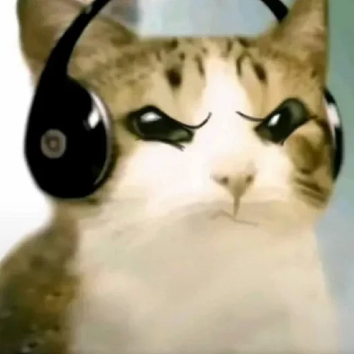 🦉 Стикер «Meowl» для Telegram