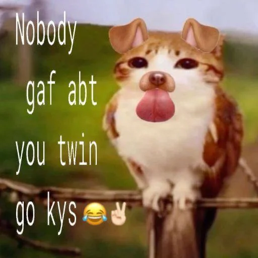 🦉 Стикер «Meowl» для Telegram