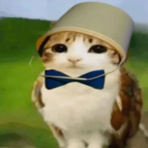 🦉 Стикер «Meowl» для Telegram