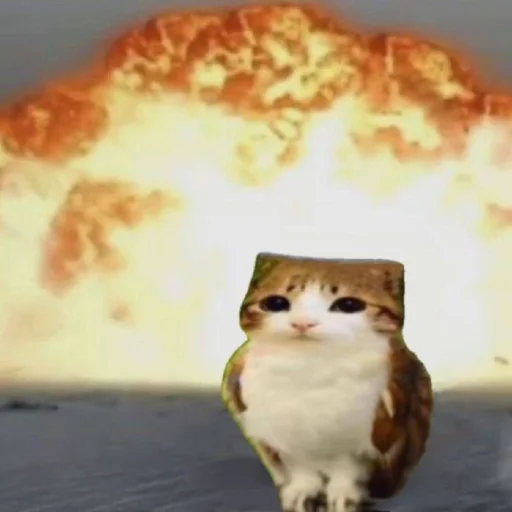🦉 Стикер «Meowl» для Telegram