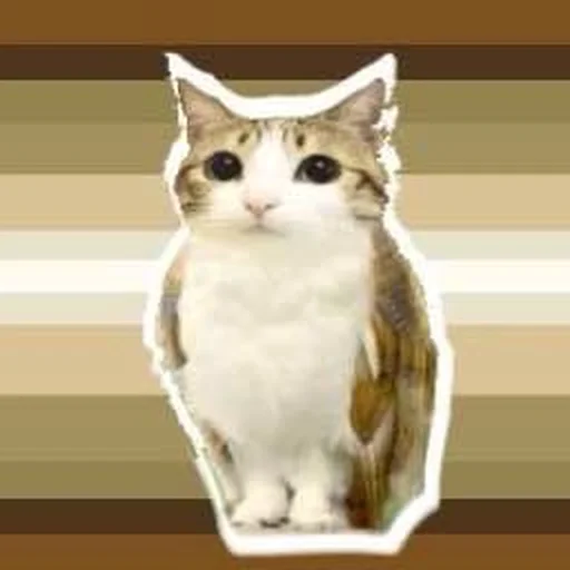 🦉 Стикер «Meowl» для Telegram