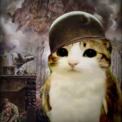 🦉 Стикер «Meowl» для Telegram