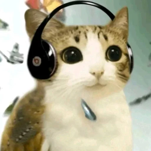 🦉 Стикер «Meowl» для Telegram