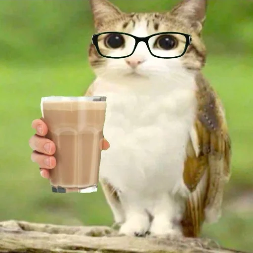 🦉 Стикер «Meowl» для Telegram