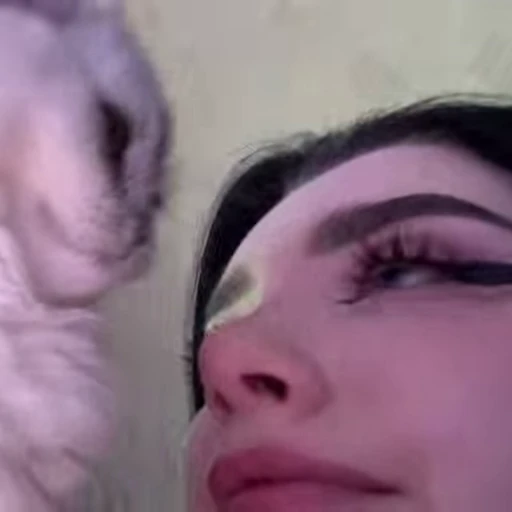 🐱 Стикер «Girls Девушки» для Telegram