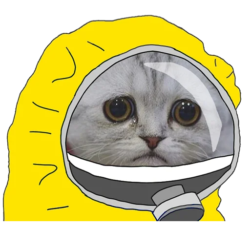 🛡 Стикер «Вирус + мемы» для Telegram