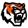 Стикер 38 Ru Hockey