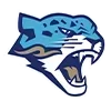 Стикер 25 Ru Hockey