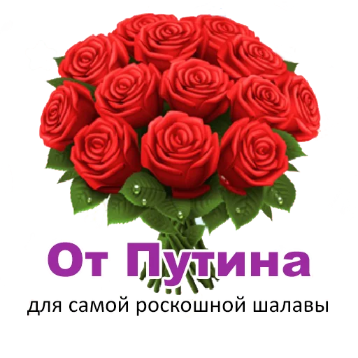 🌹 Стикер «Стикеры ебать)» для Telegram