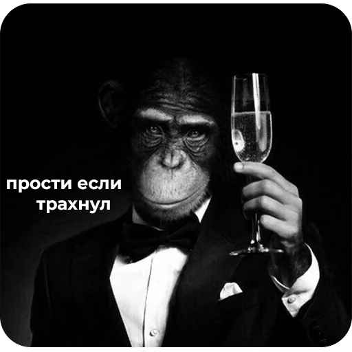 🍷 Стикер «Стикеры ебать)» для Telegram