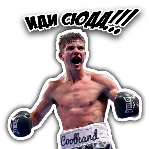 👉 Стикер «Fights» для Telegram