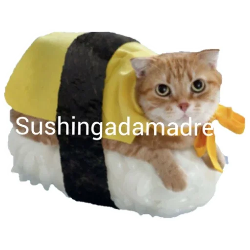 🍣 Стикер «Stickers mas perros del mundo (2)» для Telegram