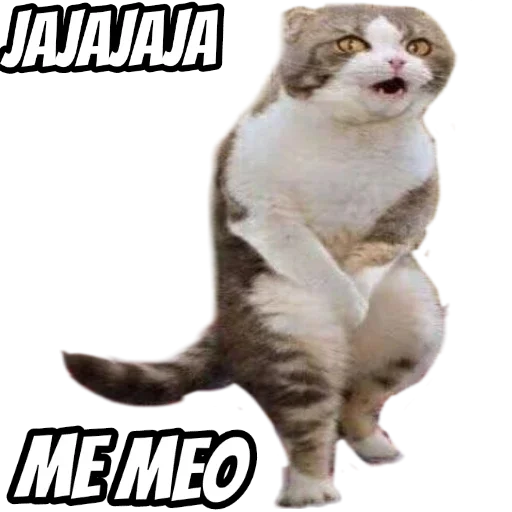🤣 Стикер «Stickers mas perros del mundo (2)» для Telegram