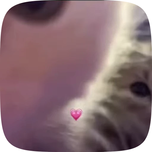 💗 Стикер «чзх» для Telegram
