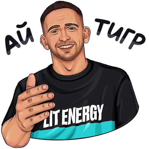 🐯 Стикер «ЛИТВИН» для Telegram