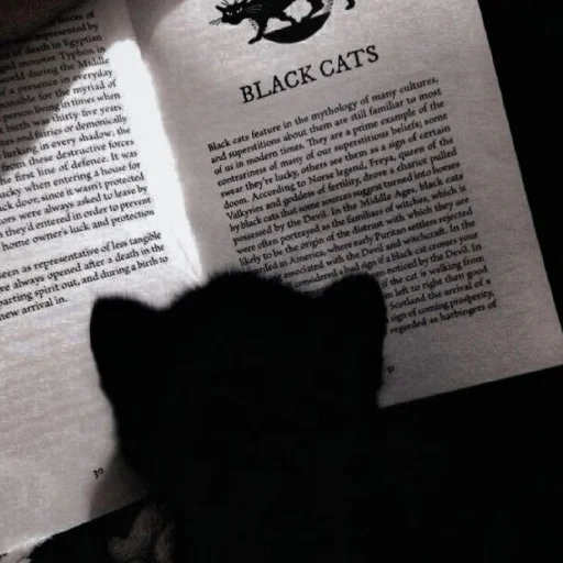 🧐 Стикер «Cutest Cats» для Telegram