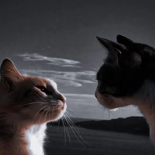 ✨ Стикер «Cutest Cats» для Telegram